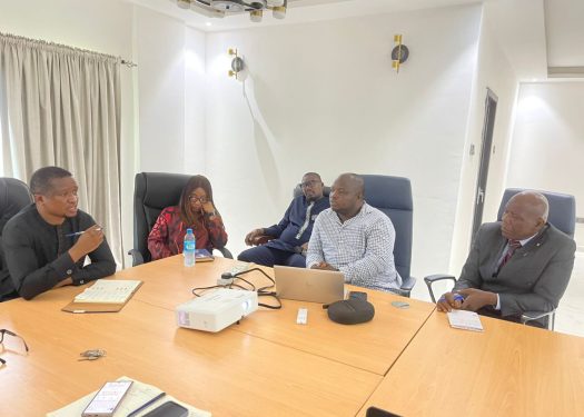 National Land Commission SL